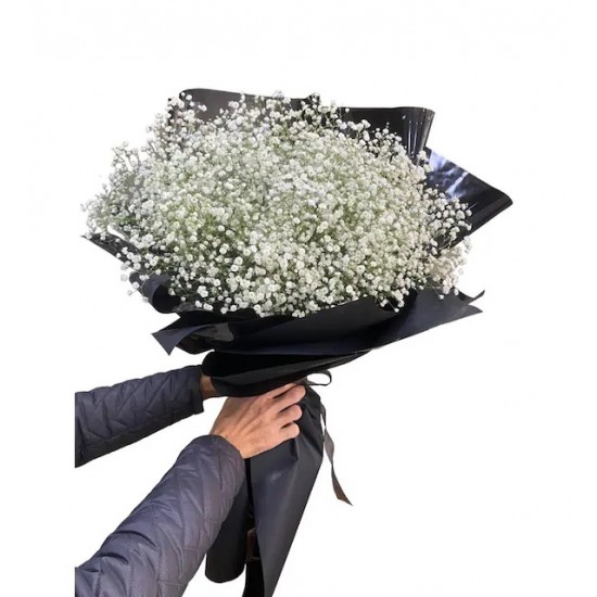 Cipsofilya Buket Demeti