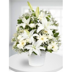 Beyaz Çiçek Tasarımı