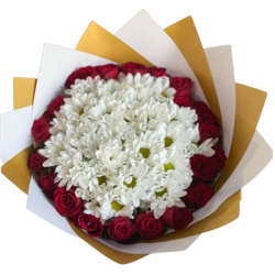 Güller İçinde Papatyalar