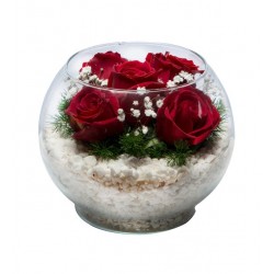 Paşabahçe Akvaryum Vazoda 6'lı Kırmızı Gül