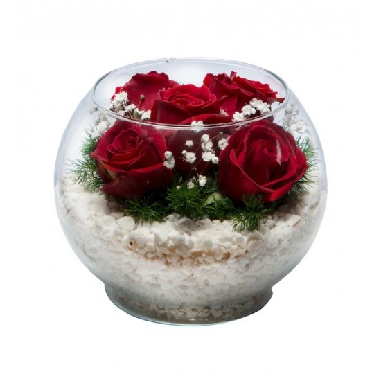 Paşabahçe Akvaryum Vazoda 6'lı Kırmızı Gül
