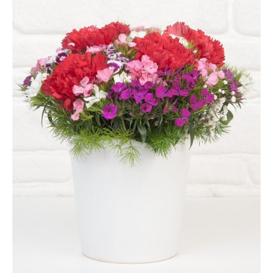 Seramik Vazoda Hüsnüyusuf ve Kırmızı Karanfil Aranjmanı