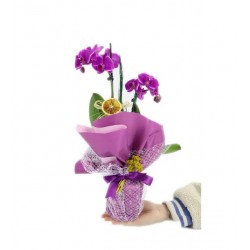 2 Dal  Mor Orkide - Prenses Tasarım