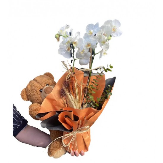 Ayıcık Ve Çiftli Orkide