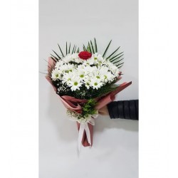 Beyaz Papatyalar İçinde Tek Gül