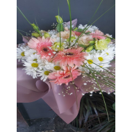Gerbera ve Papatya Aşkı
