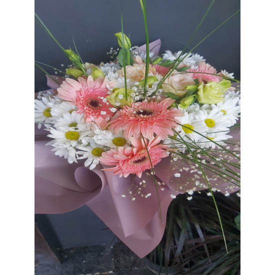 Gerbera ve Papatya Aşkı