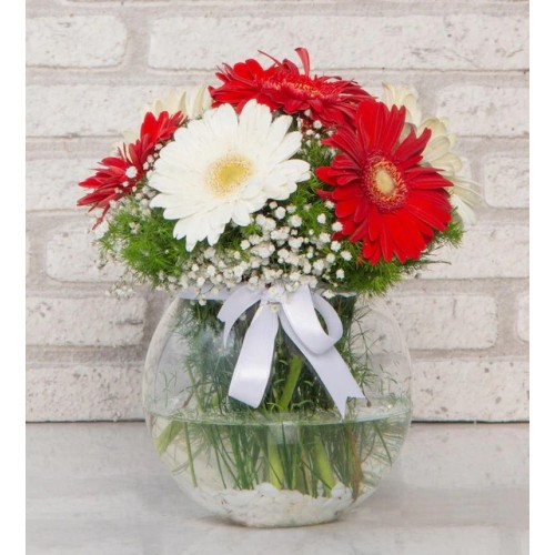 Paşabahçe Vazoda Kırmızı Gerberanın Aşkı