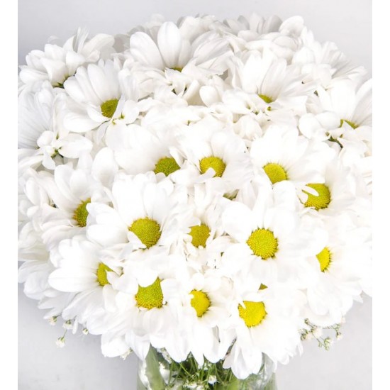 Paşabahçe Vazoda Beyaz Papatya ve Elit Truffle Çikolata