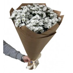 Papatya Buketi Büyük Boy