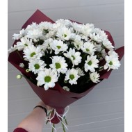 Beyaz Papatya Buketi