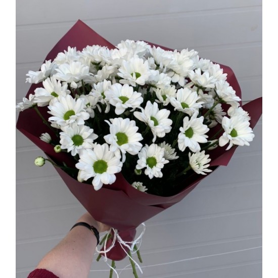 Beyaz Papatya Buketi